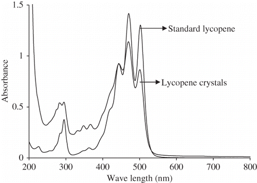 Figure 2 The scanning pattern bands of standard lycopene and lycopene crystals.
