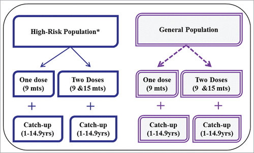 Figure 4. Typhoid conjugate vaccine implementation strategies showing 2 types of target population and 4 vaccination strategies. *High-risk population is defined as urban slum plus rural populations without access to improved water.