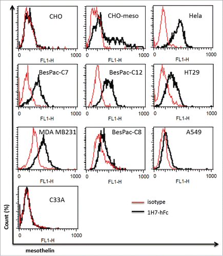 Figure 4. Test on other cancer cell lines. FACS analysis of staining by 1H7-hFc on different cancer cells. CHO-Meso vs CHO-WT cells were used as a specificity control for 1H7-hFc.