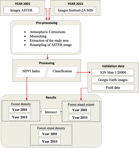 Figure 2. Methodological flowchart of the procedure used in the study.