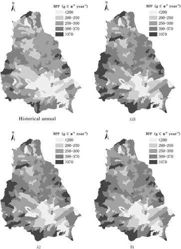 Fig. 7 Annual NPP distribution in the Jinghe basin: historical simulation and under different climate change scenarios.
