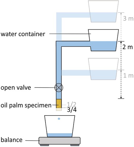 Figure 2. Experimental setup for the permeability measurements.