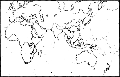 Figure 2  Worldwide distribution of Cololejeunea grossepapillosa, showing disjunction between eastern and southern Africa, Asia and New Zealand. Black dots represent the approximate location of known sightings and herbarium records. The two South Island records are reported here.