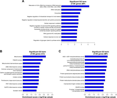 Figure 6 The top 10 GO enrichment analysis of the downregulated mRNAs: (A) biological process, (B) cell component, and (C) molecular function.