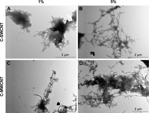 Figure 1 Formation of the carbon nanotube–chitosan complex.Notes: Transmission electron microscope imaging demonstrated the formation of an interweaving network of chitosan polymer with carbon nanotubes. (A) 1% C-SWCNT; (B) 5% C-SWCNT; (C) 1% C-MWCNT; (D) 5% C-MWCNT.Abbreviations: C-SWCNT, chitosan–single-wall carbon nanotube; C-MWCNT, chitosan–multi-wall carbon nanotube.