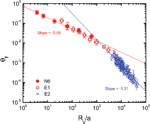 Figure 4. The θf − Rg/a scaling relationship of particles corresponding to sets N6, E1, and E2. Error bars represent one geometric standard deviation for N6 and E1 datasets. For the E2 dataset, errors stem from the uncertainty in C = 6.15 ± 2.15 as reported by Johnson et al. (Citation1996). Least-square fitting of the data of set E2 yields (right-most [blue] line).