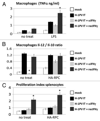 Figure 1. Impact of IFNγ addition or depletion on H-1PV immunomodulating activity. (A) Macrophages were isolated from the peritoneal cavity of four groups (n = 3) of tumor bearing Lewis rats treated either with PBS (mock) or with an intratumoral injection of 5 × 108 pfu/rat of H-1PV (H-1PV IT) combined either with an antibody against IFNγ (H-1PV IT + αIFNγ) or recombinant IFNγ (H-1PV IT + recIFNγ). Cells were plated in 48-well plates at a density of 5 × 105 cells per well and stimulated or not with LPS. TNFα production in the supernatants was measured 24 h later by ELISA. Average values and standard deviations are shown. (B) Peritoneal macrophages (5 × 105/well) from the same groups of rats were cocultured or not with 1 × 105 HA-RPC cells at a 5:1 ratio in 48 well plates and the release of interleukins -10 and -12 was measured by ELISA. Mean cytokine ratios and standard deviations are presented. (C) Single cell suspensions of rat splenocytes were labeled with CFSE, plated in 24 well plates at 1 × 106 cells/ well and cocultured or not with 2 × 105 HA-RPC cells at a 5:1 ratio. 48 h later cells were harvested and processed for FACS analysis of proliferation. All data were median from three animals from triplicate wells. Differences were considered significant at p values below 0.05.
