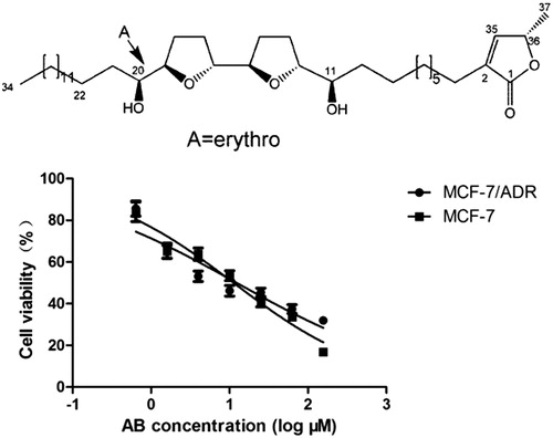 Figure 1. Chemical structure of AB. AB inhibits cell viability in a concentration-dependent manner on MCF-7/ADR cell line. Values are presented as the mean ± SD of at least three independent experiments. AB: Annosquacin B.