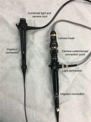 Figure 2 Olympus URF-V digital (left) and Olympus URF-P5 fiber-optic (right) flexible ureteroscope.