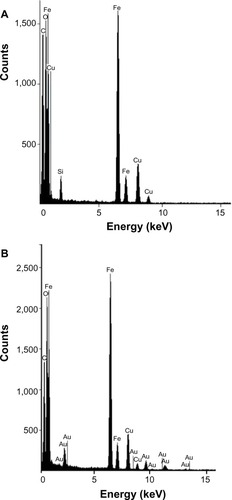 Figure 3 Energy-dispersive X-ray spectra of Fe3O4 nanoparticles functionalized with aminosilane (Fe3O4@NH2) (A) and with gold (Fe3O4@Au) (B).