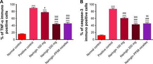 Figure 9 Effects of naringin oral pretreatment on ethanol-induced increase of gastric expression of TNF-α and caspase-3 in rats in comparison with normal and positive control groups (IHC, 100×).Notes: (A) TNF-α and (B) caspase-3. Data are mean ± SD, n=6. ***P<0.001 vs normal control group. #P<0.05 and ###P<0.001 vs positive control group. $$P<0.01, and $$$P<0.001 vs 100 mg/kg naringin pretreated group.Abbreviations: IHC, immunohistochemical; PF68, pluronic F68; TNF-α, tumor necrosis factor-alpha.