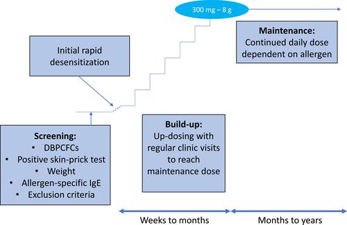 Figure 1 Typical single-food OIT protocol.