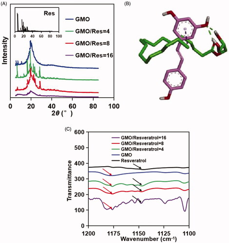 Figure 3. (A) PXRD patterns of pure resveratrol (black), pure GMO (blue), and GMO/resveratrol at weight ratios of 4 (green), 8 (red), and 16 (purple). (B) Chemical structures with proposed hydrogen-bonding between GMO and resveratrol. (C) FTIR absorption spectra of pure resveratrol (black), pure GMO (blue), and GMO/resveratrol at weight ratios of 4 (green), 8 (red), and 16 (purple). The absorption peaks of the hydroxyl group of resveratrol (black arrow) and GMO (red arrow) were shifted at different ratios.