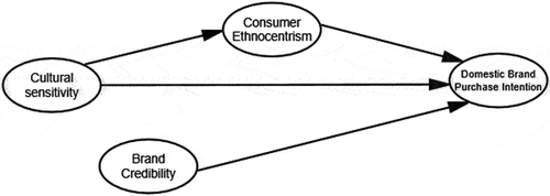 Figure 1. Conceptual framework.