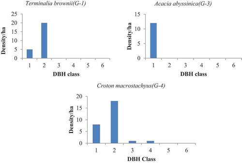 Figure 4. Population structure of woody species in adjacent open grazing land of Gay webishet site