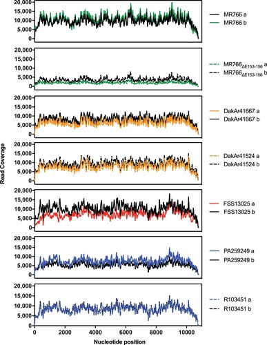 Figure 2. ZIKV NGS sequencing dataset description. Duplicate samples (N = 14) of each strain were analysed. The positional read coverage depth of each replicate (after filtering out low-quality reads and PCR replicates) was plotted along the genome and was similar for both replicates of each strain. Coverage range: 1,906-10,762.