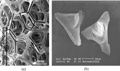 Figure 1 (a) Cell morphology of a 10 PPI Duocel® open cell aluminum foam. The sketched segments are used to schematically represent struts connecting vertices. Four-strut structure units are clearly shown in this image. (b) Fractured struts display the four-strut tetragonal structure units.