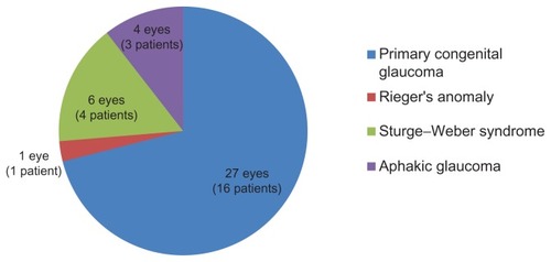 Figure 4 Glaucoma subtype among study eyes.