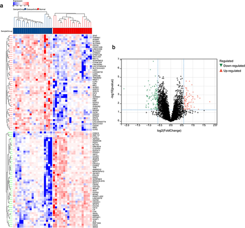 Figure 2 Differential analysis of genes in OA.