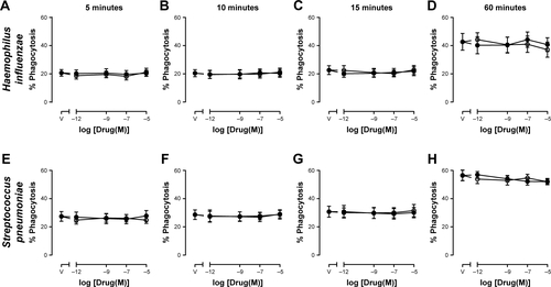 Figure S3 Effects of fluticasone propionate or budesonide on percent phagocytosis of Haemophilus influenzae and Streptococcus pneumoniae by COPD neutrophils.Notes: Neutrophils from COPD patients were pretreated with fluticasone propionate (○) or budesonide (●) at indicated concentrations or drug vehicle (V) for 1 hour and subsequently incubated with H. influenzae (A–D) or S. pneumoniae (E–H) for 5, 10, 15, or 60 minutes, cells washed, fixed in 4% paraformaldehyde, and fluorescence measured by flow cytometry. Graphs show percentage of neutrophils that phagocytosed bacteria. Data shown as mean ± SEM with no statistical differences observed; n=7.