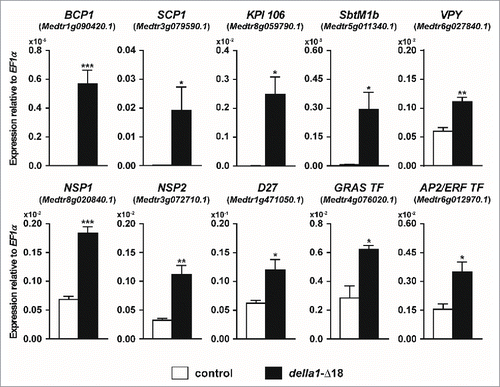 Figure 2. Overexpression of della1-Δ18 increases transcript levels of genes involved in AM symbiosis in the absence of the AM fungus. Transcript levels in non-colonized transgenic roots of M. truncatula expressing either a P35S:GFP vector control (control) or P35S:della1-Δ18 (della1-Δ18) at 35 d post planting, assayed by qRT-PCR. Data are averages ± SE (N ≥ 3 biological replicates). * P ≤ 0.05, ** P ≤ 0.01, ***P ≤ 0.001; t-test. ID numbers are shown in brackets and were retrieved from the M. truncatula genome version 4.0. The methods were as described previously.Citation33