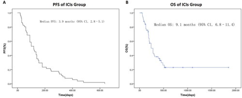 Figure 2. Kaplan–Meier plot of progression-free survival (A) and overall survival (B) of whole ICIs cohort in this study.