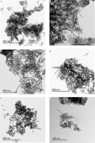 Figure 1 Representative transmission electron microscopy images of stock dispersions of the prepared composite powders depicting the difference in HA particle structure and interaction with the CNTs (n = 3 samples/treatment for each batch); (A) Pure HA crystals; (B) p-MWCNTs-PVA; (C) f-MWCNTs-PVA; (D) p-MWCNTs-HTAB; (E) f-MWCNTs-HTAB; (F) p-MWCNTs-HTAB (closer observation). In panel (A), the arrows point to the appearance of needle-shaped particles; in panels (B–D) the arrows point to the interaction between the HA and the CNTs. Note, in panel (B) the clusters of needle like HA surrounding the CNTs. In panel (D, E), the growth of HA crystal and the CNTs shows that the crystals have not obtained the needle structure, but have a rod shape (F).