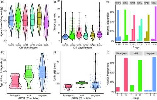 Figure 2. (a) Violin and box plots of the age distribution at the time of diagnosis (y-axis) of molecular subtypes (x-axis). (b) Violin and box plots of the tumor size (y-axis) of molecular subtypes (x-axis). (c) Relative frequency distribution chart of disease stage (x-axis) and relative frequency of occurrence (y-axis). The chart is shown separately for each subtype. (d) Violin and box plots of age distribution at the time of diagnosis (y-axis) of BRCA1/2 carriers and non-carriers (x-axis). VUS: variant of unknown significance. (e) Violin and box plots of tumor size (y-axis) of BRCA1/2 carriers (x-axis). (f) Relative frequency distribution chart of disease stage (x-axis) and the relative frequency of occurrence (y-axis). The chart is shown separately for group of patients (carriers and non-carriers).