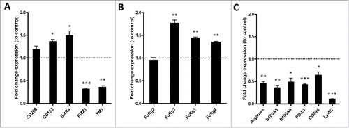 Figure 6. Vorinostat treatment results in a TME-containing myeloid cells expressing more activating FcR and less immune suppressive genes. (A–D) Mice (18 mice/group) bearing 9464D tumors were treated with Vorinostat (150 mg/kg) for 3 consecutive days. One day after the last injection tumors were excised and single-cell suspensions were made and pooled. CD45.2+ TILs were isolated from the pooled tumor cell suspensions by CD45.2+ MACS separation. The CD45.2+CD11b+ cells were subsequently FACS-sorted and directly lysed for RNA isolation. Following cDNA synthesis, qPCR analysis was performed in triplicate and mRNA expression levels relative to Pbgd were determined for the indicated genes. mRNA expression relative to Pbgd of the treatment groups were normalized to control samples and are presented as fold-change relative to control (*p < 0.05, **p < 0.01, ***p < 0.001).