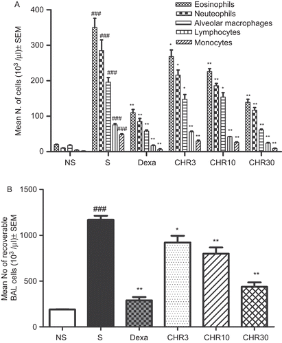 Figure 2.  Effect of chrysin on (A) differential cell count (B) total cell count from BALF. NS, non-sensitized (OVA-challenged, treated with vehicle), S, sensitized (OVA-sensitized and challenged, treated with vehicle), Dexa, OVA-sensitized and challenged treated with dexamethasone 1 mg/kg, CHR3, CHR10, CHR30, OVA-sensitized and challenged, treated with chrysin 3, 10, and 30 mg/kg, p.o., respectively. Results are presented as mean ± SEM. ANOVA followed by Dunnett’s test. ###p < 0.001 when sensitized group versus non-sensitized group, *p < 0.05, **p < 0.01 when Dexa, CHR3, CHR10, CHR30 groups versus sensitized group.