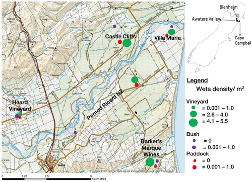 Figure 4. Map showing sites sampled in the Awatere Valley and wētā densities in the habitats.