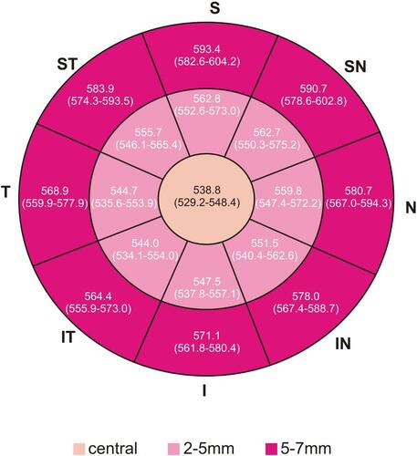 Figure 7 Representative corneal epithelial thickness map in girls. Numbers represent mean (95% CI for mean).