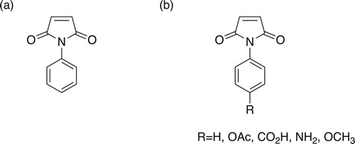 Scheme 1. (a) Maleimide moity. (b) Maleimides synthesized by Trujillo-Ferrara et al. ( Citation80) as potential acetylcholinesterase inhibitors.