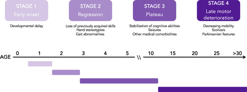 Figure 1 Disease stages in Rett syndrome. The progression of Rett syndrome can be described in four stages of disease. In Stage 1 (early onset), children develop mostly typically with possible developmental delay. In Stage 2 (regression), children undergo developmental regression over the course of weeks, months, or years with loss of previously acquired skills including purposeful hand movements and spoken language. Children also begin to develop breathing and gait abnormalities during this period. In Stage 3 (plateau), children usually experience stabilization of cognitive abilities and have onset of other medical conditions such as seizures. In Stage 4 (late motor deterioration) individuals with RTT experience decreasing mobility and may develop parkinsonian features.