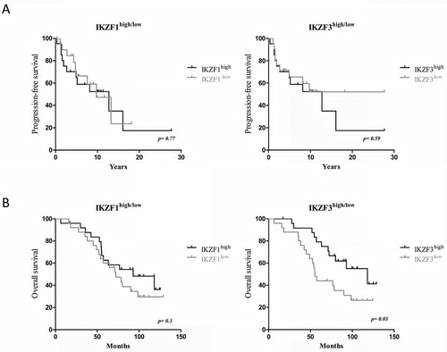 Figure 2. Correlation of the IKZF1/3 expression level in T-cells with PFS in untreated asymptomatic MMI patients and OS in MMIII patients treated with immunomodulatory drugs. Kaplan-Meier plot illustrating the influence of IKZF1 (left) or IKZF3 (right) on PFS in patients with asymptomatic MMI (n = 45).Kaplan-Meier plot illustrating the influence of IKZF1 (left) or IKZF3 (right) on overall survival in patients with symptomatic MMIII treated with immunomodulatory drugs (n = 50); the data were analysed using the log-rank (Mantel-Cox) test.