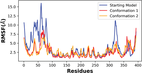 Figure 7. RMSF analysis of the alpha carbon atoms for p53 monomers. A comparison of the different p53 monomer conformations is plotted across all c-alpha atoms with the starting model in blue and conformations 1 and 2 colored red and orange, respectively. Higher fluctuations of RMSF values indicates higher residual flexibility, whereas lower fluctuations of RMSF values indicates lower residual flexibility.