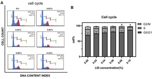 Figure 2 Lidocaine induces cell cycle arrest. (A) Flow cytometric analysis of the cell cycle. (B) Bar graph representation for quantification of results from (A). At concentrations ≥0.08%, lidocaine arrested the cell cycle at the G0/G1 phase (*P<0.05, n=3, bars represent SD).