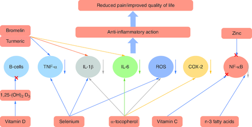 Figure 7. Effect of different molecules and minerals on rheumatoid arthritis.(A) Nutrients affect cells and mediators of the immune-inflammatory ‘cascade’ leading to RA. (B) Once the mediators or cells are controlled, the inflammatory response will be mitigated, causing improvements in the signs and symptoms of RA.