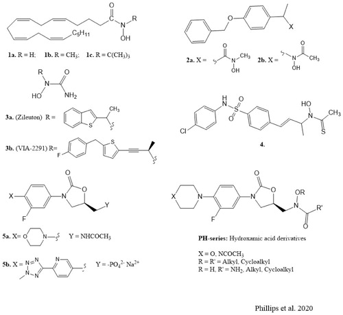 Figure 1. Chemical structures of 5-lipoxygenase inhibitors and antibacterial agents.
