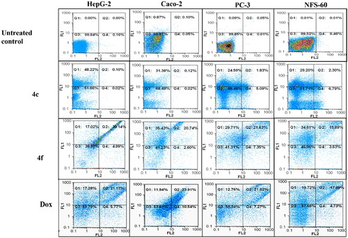 Figure 7. Flowcharts of Annexin-PI analysis of 4c and 4f – treated cancer cell lines in comparison with the untreated cancer cells after 72 h incubation at concentrations equivalent to 0.013, 0.007, 0.005, and 0.006 µM, respectively.