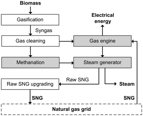 Figure 1. Polygeneration of SNG, steam and electrical power by biomass gasification.