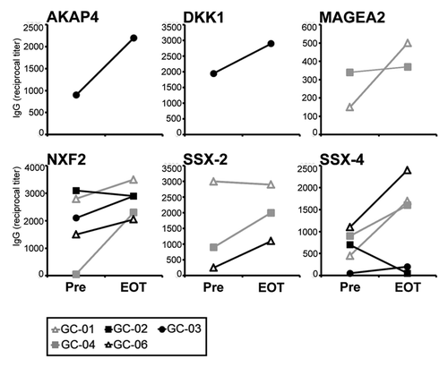 Figure 6. Broad catumaxomab-induced modulation of humoral anti-tumor immunity. Lines indicate antibody responses against 6 different CT antigens in gastric cancer patients receiving catumaxomab in the adjuvant setting. Reciprocal IgG antibody titers against recombinant protein of the given CT antigen were measured by ELISA and are shown for two timepoints: before initiation of catumaxomab therapy (Pre) and 4 weeks after completion of treatment (EOT).
