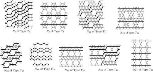 Figure 2. Doubly semi-equivelar maps Ni’s of Types Ti’s: i∈{5,8,11,12,13,18,19,20,21}.