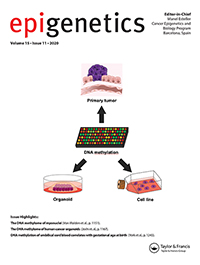 Cover image for Epigenetics, Volume 15, Issue 11, 2020