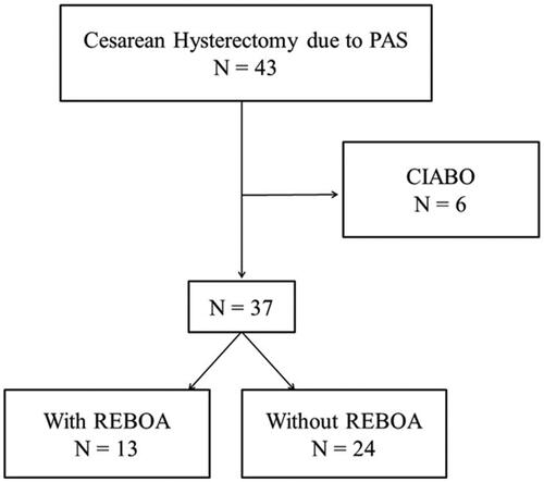 Figure 1. Study flowchart. A total of 37 cesarean hysterectomies were part of the study, including 13 with REBOA and 24 without. Abbreviations: PAS: placenta accreta spectrum; REBOA: resuscitative endovascular balloon occlusion of the aorta; CIABO: common iliac artery balloon occlusion.
