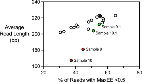 Figure 3. Average read lengths and percentages of reads with expected error rates <0.5 for NGS reads obtained by end sequencing of PCR products generated with the delta12 and delta21 primers. Sample 9 and Sample 10 plotted in red generated fingerprints for the Belle Saison strain that did not match. Sample 9.1 and Sample 10.1 in green represent re-sequencing of the PCR products that generated Sample 9 and Sample 10.