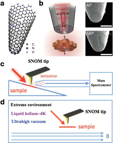 Figure 20. The perspective of near-field optics. (a) Chemically fabricated carbon nanotube cup, whose properties can be effectively controlled by chemical component [Citation149]. (b) Split-ring probe is sensitive to both in-plane (Hx or Hy) and out-of-plane (Hz) component of near-field magnetic field [Citation58]. Scale bar, 500 nm. (c) The combination of near-field optics and mass spectroscopy for highly chemical resolution and spatial resolution, simultaneously. (d) The developed s-SNOM in extreme environment, including ultralow temperature, strong magnetic field and ultrahigh vacuum. (a) Reproduced with permission [Citation149]. Copyright 2012, American Chemical Society. (b) Reproduced with permission [Citation58]. Copyright 2014, Nature Publishing Group. Copyright 2009, American Association for the Advancement of Science.