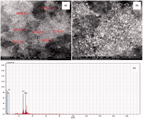 Figure 6. FE-SEM images of To-AgNPs. (a) magnified at 50,000×. (b) magnified at 100,000×. (c) EDX spectrum of To-AgNPs.