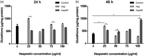 Figure 7. Evaluation of dose and time dependent changes in GSH levels on C6 glioma cells treated with Hsp and HspNPs. (a) 24 h (b) 48-h incubation of cells with increasing concentrations Hsp and HspNPs. *indicates statistically significant differences between underlined groups (p < .05).