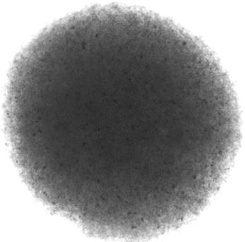 Figure 3 Optical micrograph of a chitosan-coated collagen/β-TCP microsphere. The black spots are due to the non transparent β-TCP particulates.